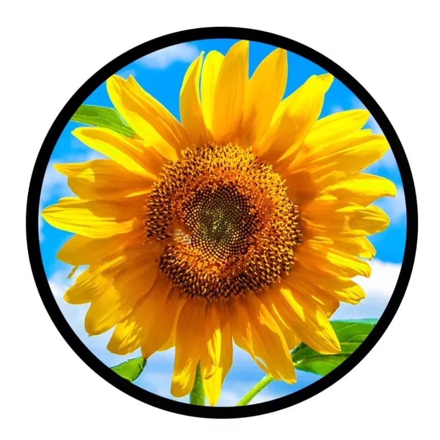 AUO P236RVN01.0 Custom 23.6 Inch Round Display Tft LCD Advertising Screen Digital Signage and Display Lcd Metal Case