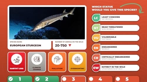 Castit Digital Signage Software - Image 4