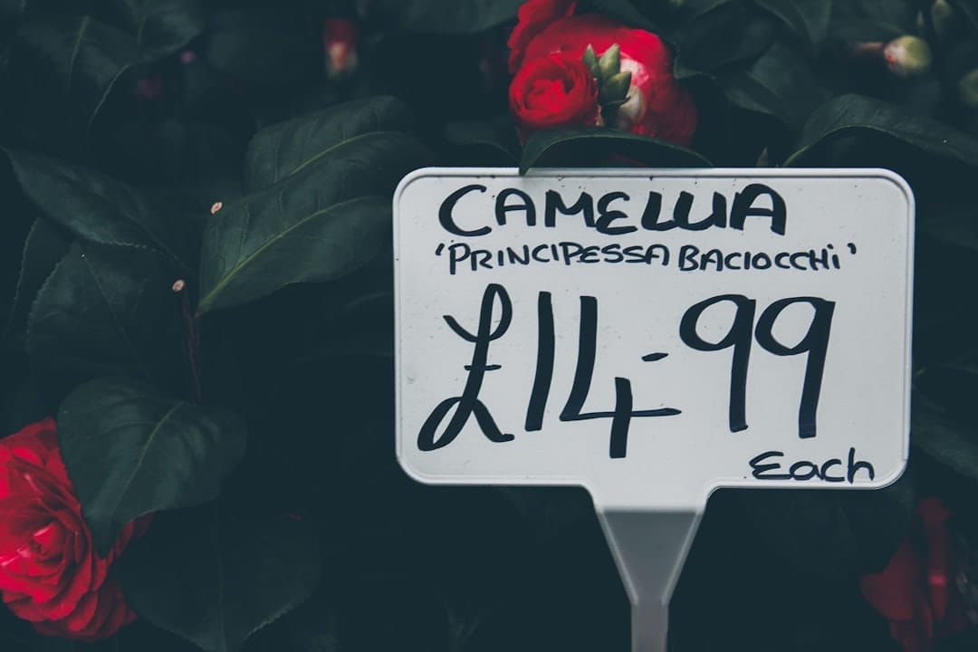 Photo digital signage pricing