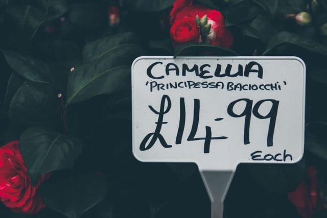 Photo digital signage pricing